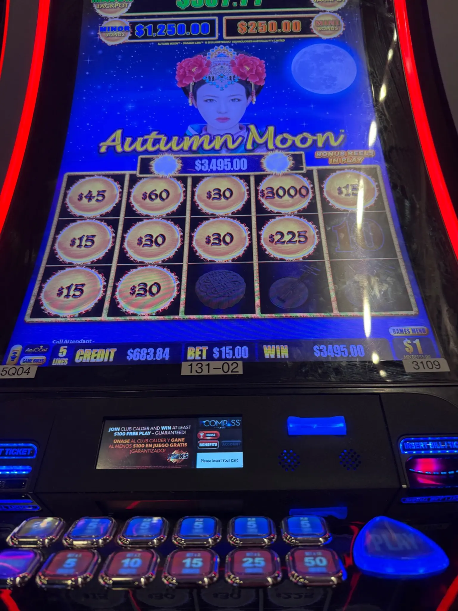 Slot machine win — $3,495